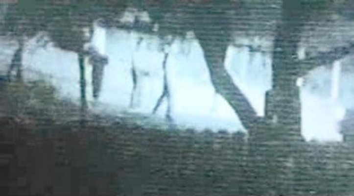 INCREDIBIL! Poliţiştii din Mereni au abandonat misiunea, să prindă o iepuroaică!